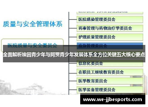 全面解析埃因青少年与阿贾青少年发展体系全方位关键五大核心要点